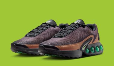 Nike Air Max Dn "Dark Russet" IB8065-045